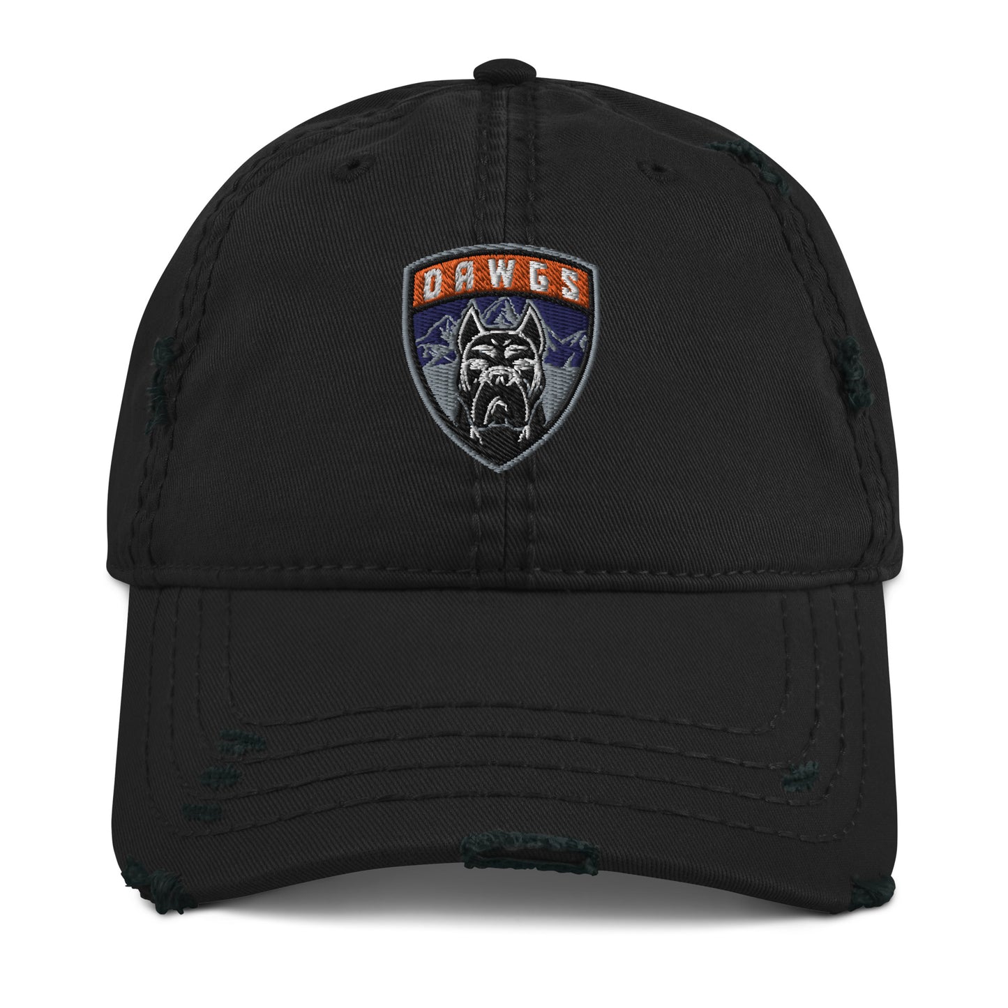 Havok Hockey / Utah Dogs Distressed Ball Cap w Badge  20% Dawgs Donation
