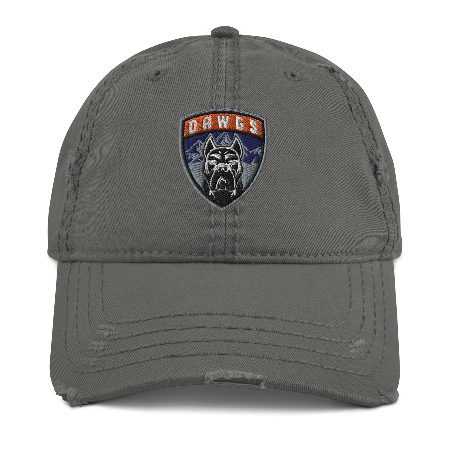 Havok Hockey / Utah Dogs Distressed Ball Cap w Badge  20% Dawgs Donation